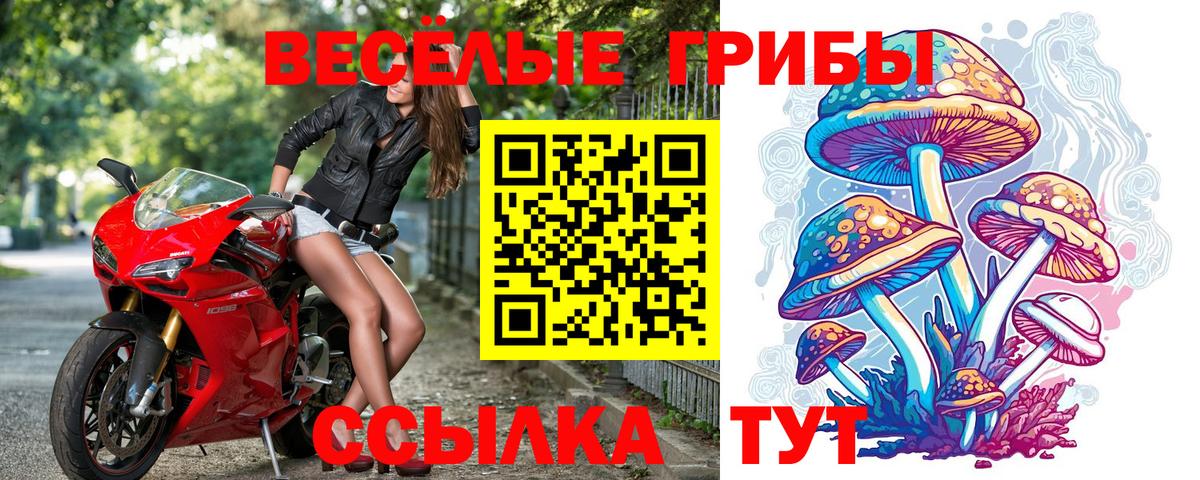 Псилоцибиновые грибы Cubensis  Вход с VPN  Сегежа 