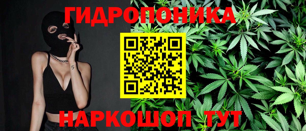 Сегежа  МАРИХУАНА тримм  Вход с VPN  МАРИХУАНА LSD WEED 